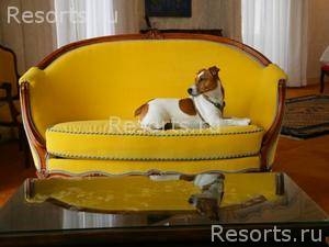 Hotel Negresco 8